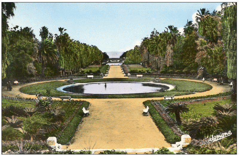 Jardin essai 2